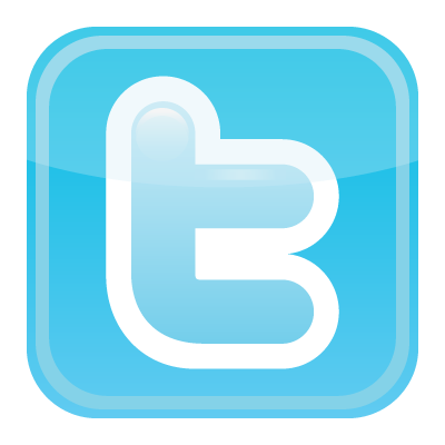 Twitter icon vector