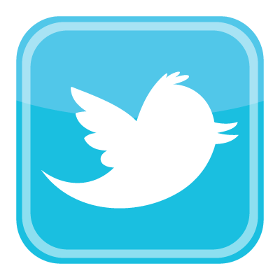 Twitter bird icon vector