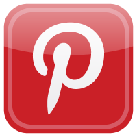 Pinterest button vector