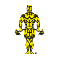 Gold's Gym logo vector