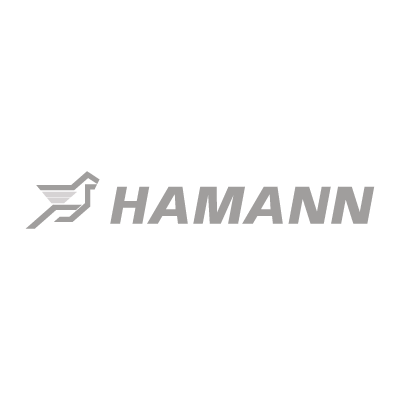 Hamann Motorsport vector logo