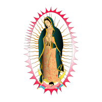 Viregn de Guadalupe vector